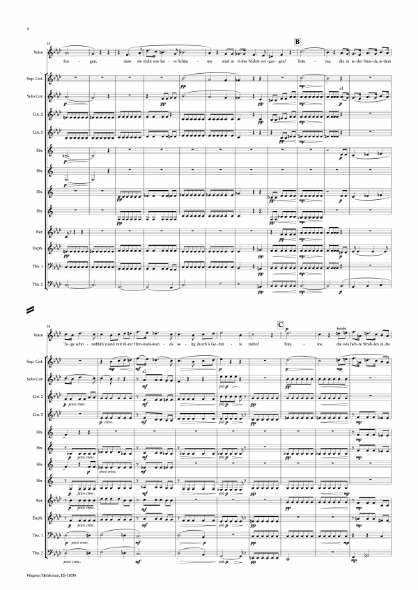 Wagner, Richard: Träume - Image 4